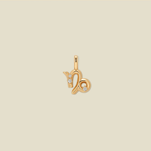 Capricorn Zodiac Charm | Final Sale